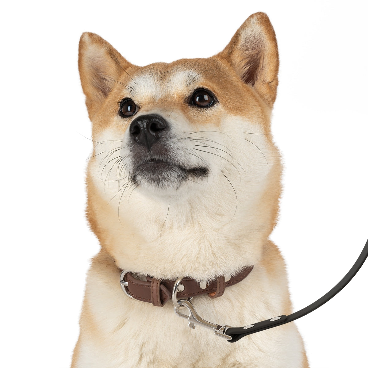 Kim Klutch Designer Dog Leash