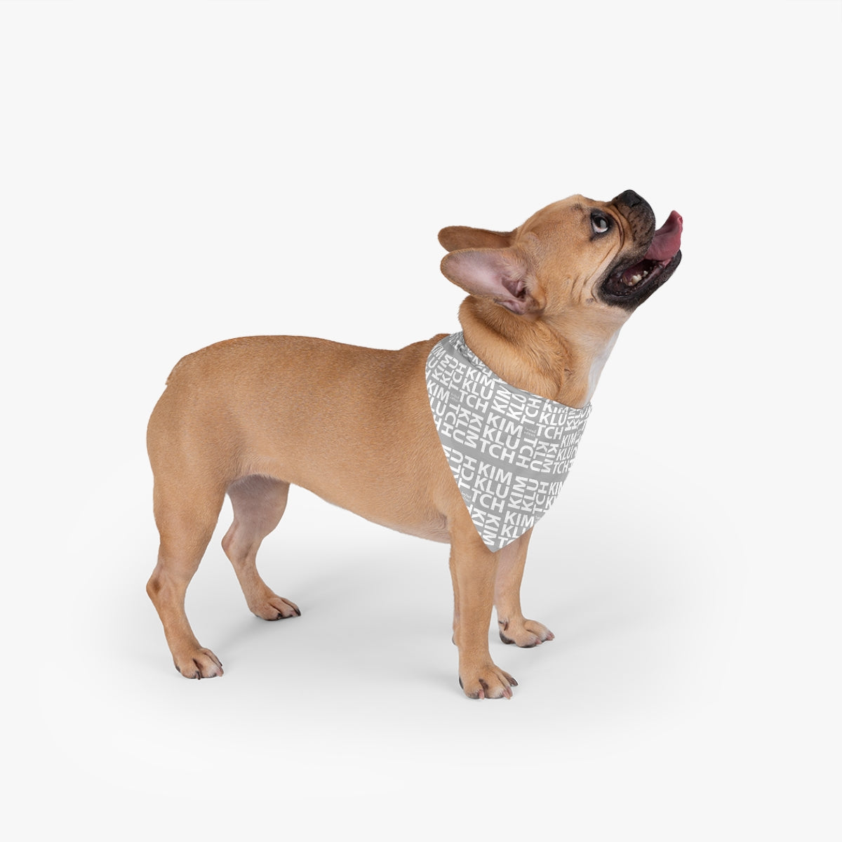 Kim Klutch Designer Pet Bandana