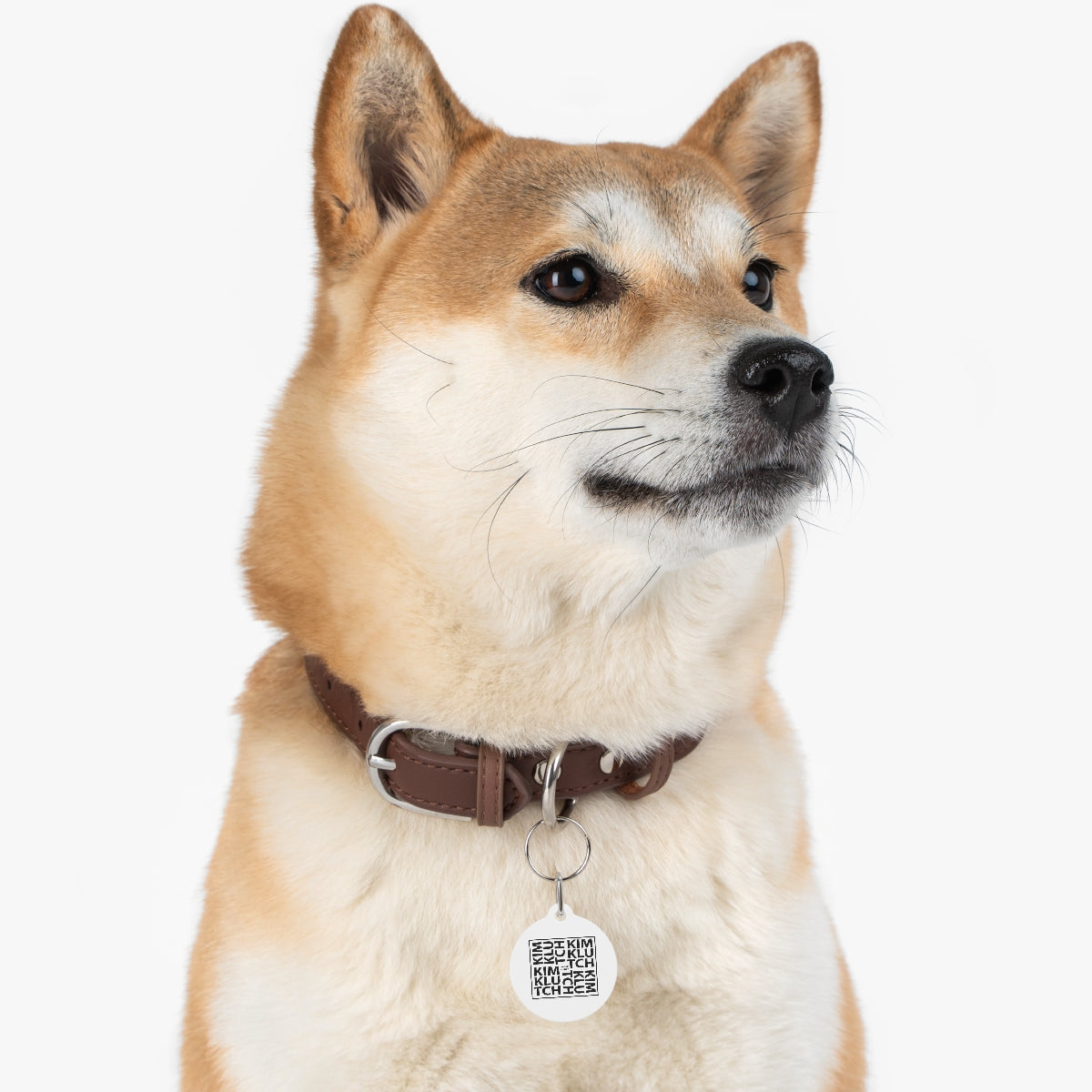 Kim Klutch Designer Pet Tag